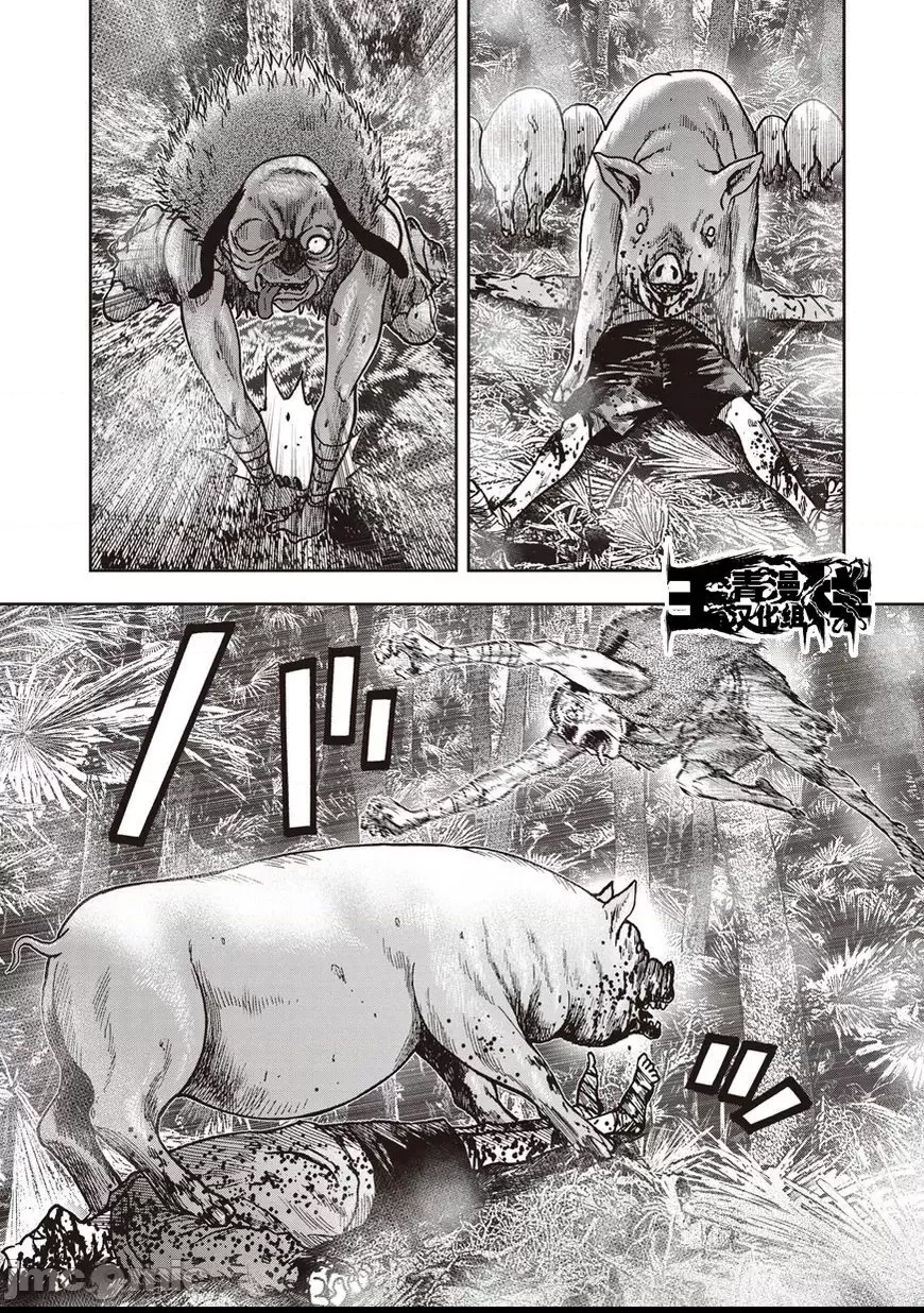 第 205 页