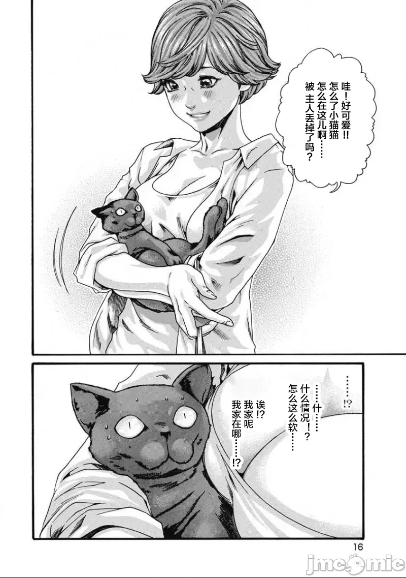 第 17 页