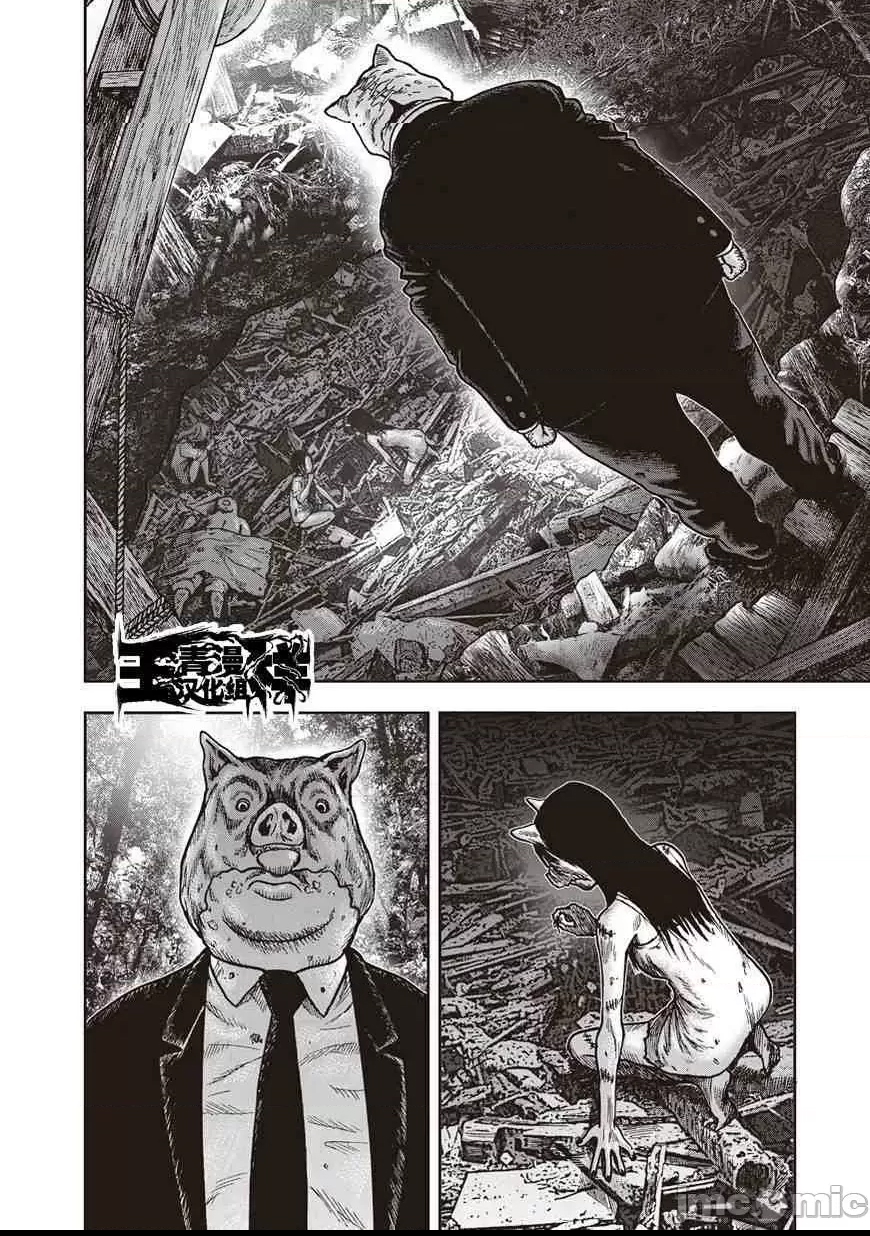 第 243 页
