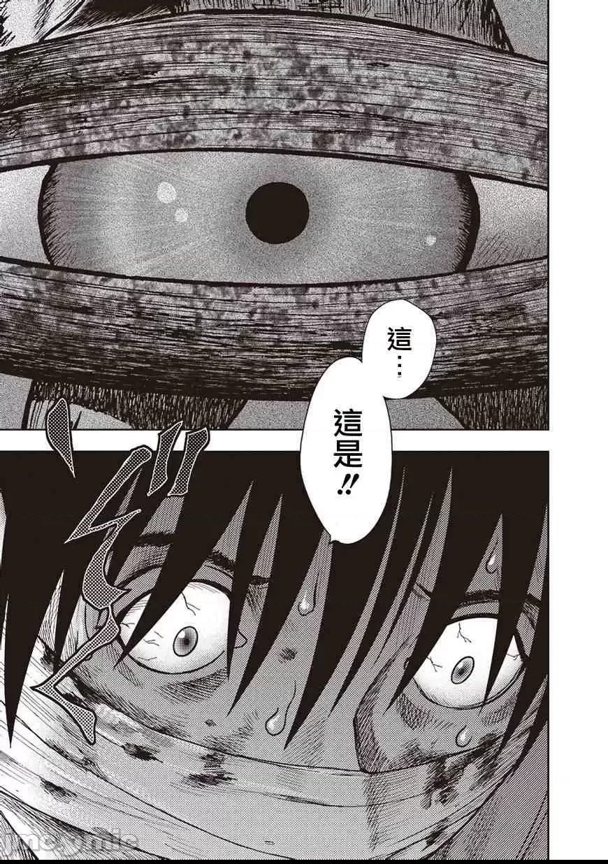 第 248 页