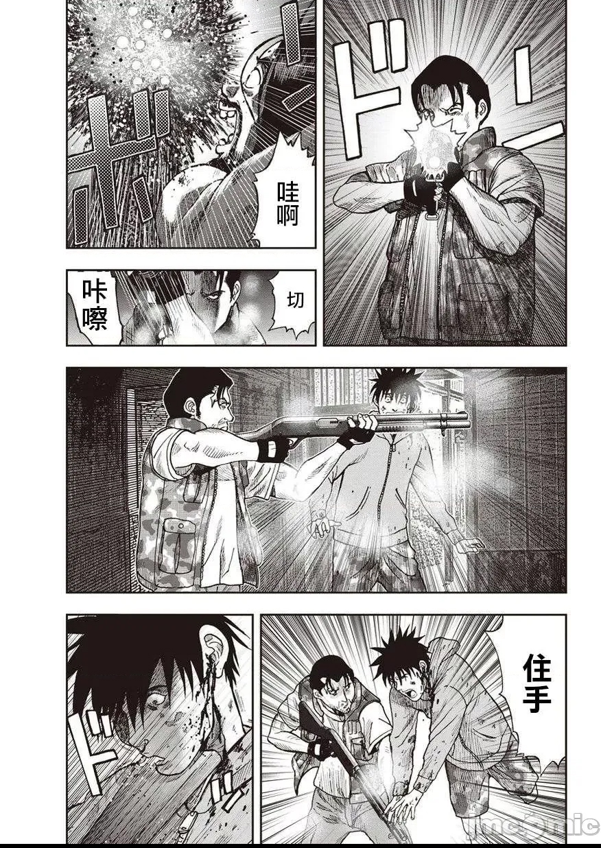 第 204 页