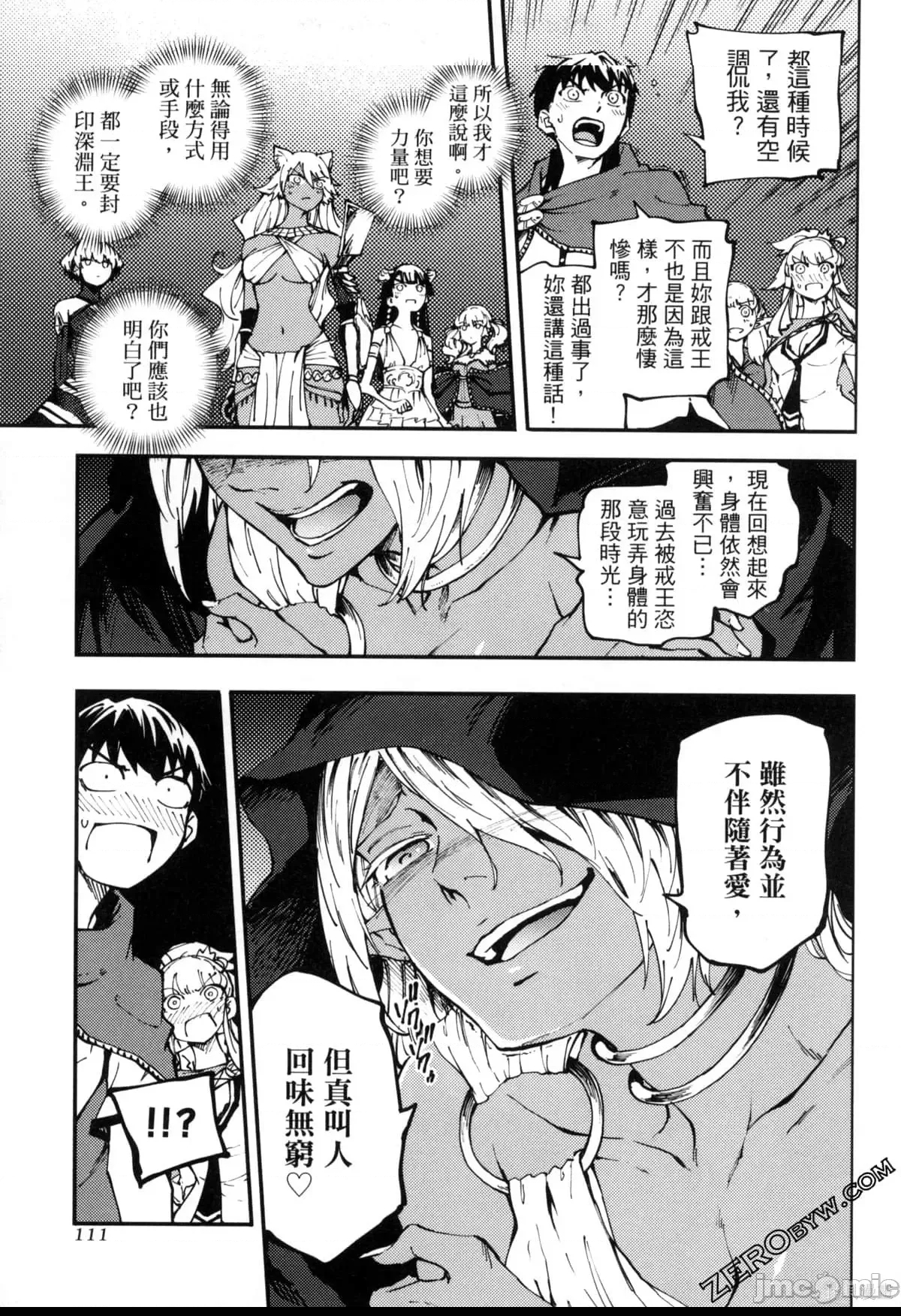 第 111 页