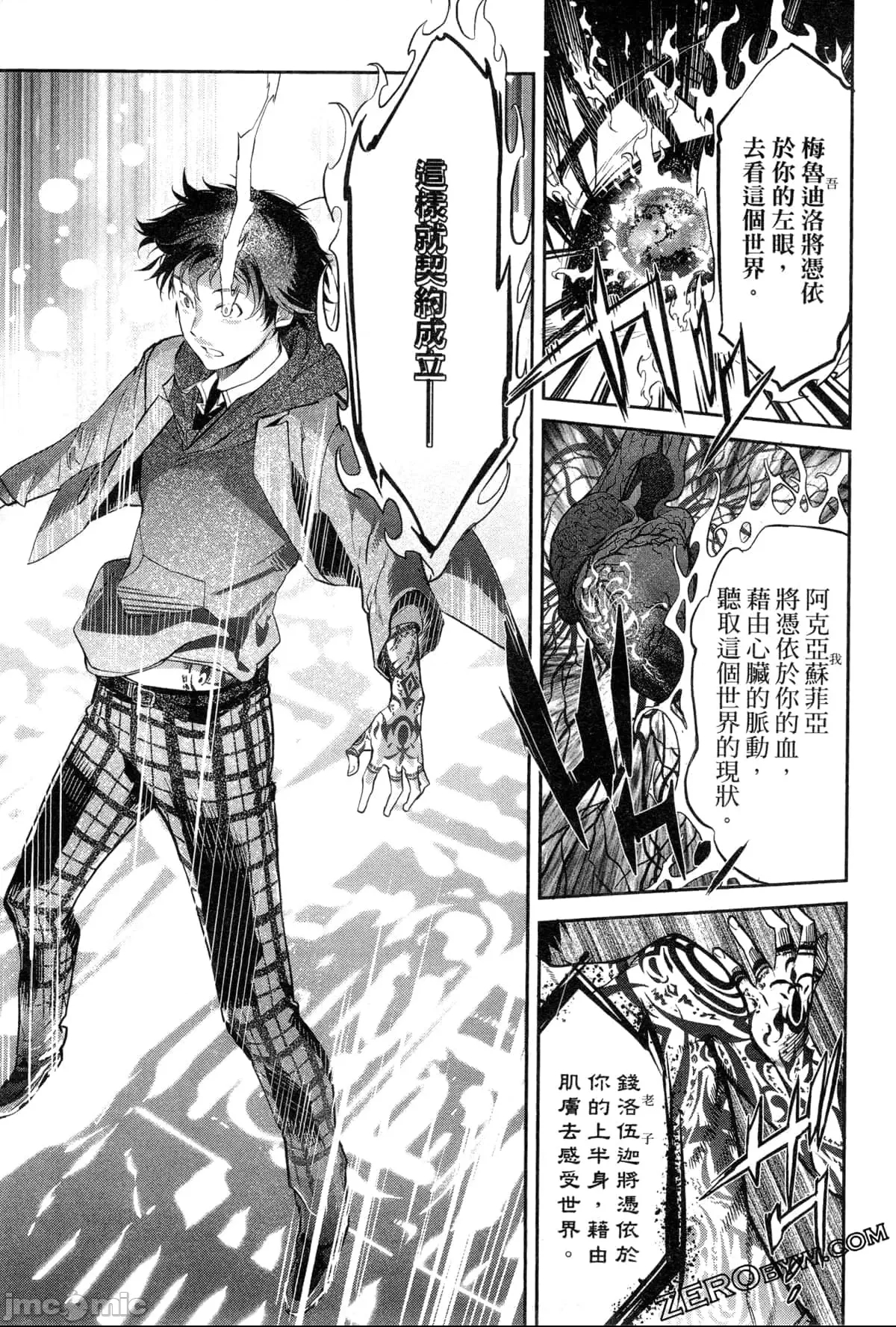 第 110 页