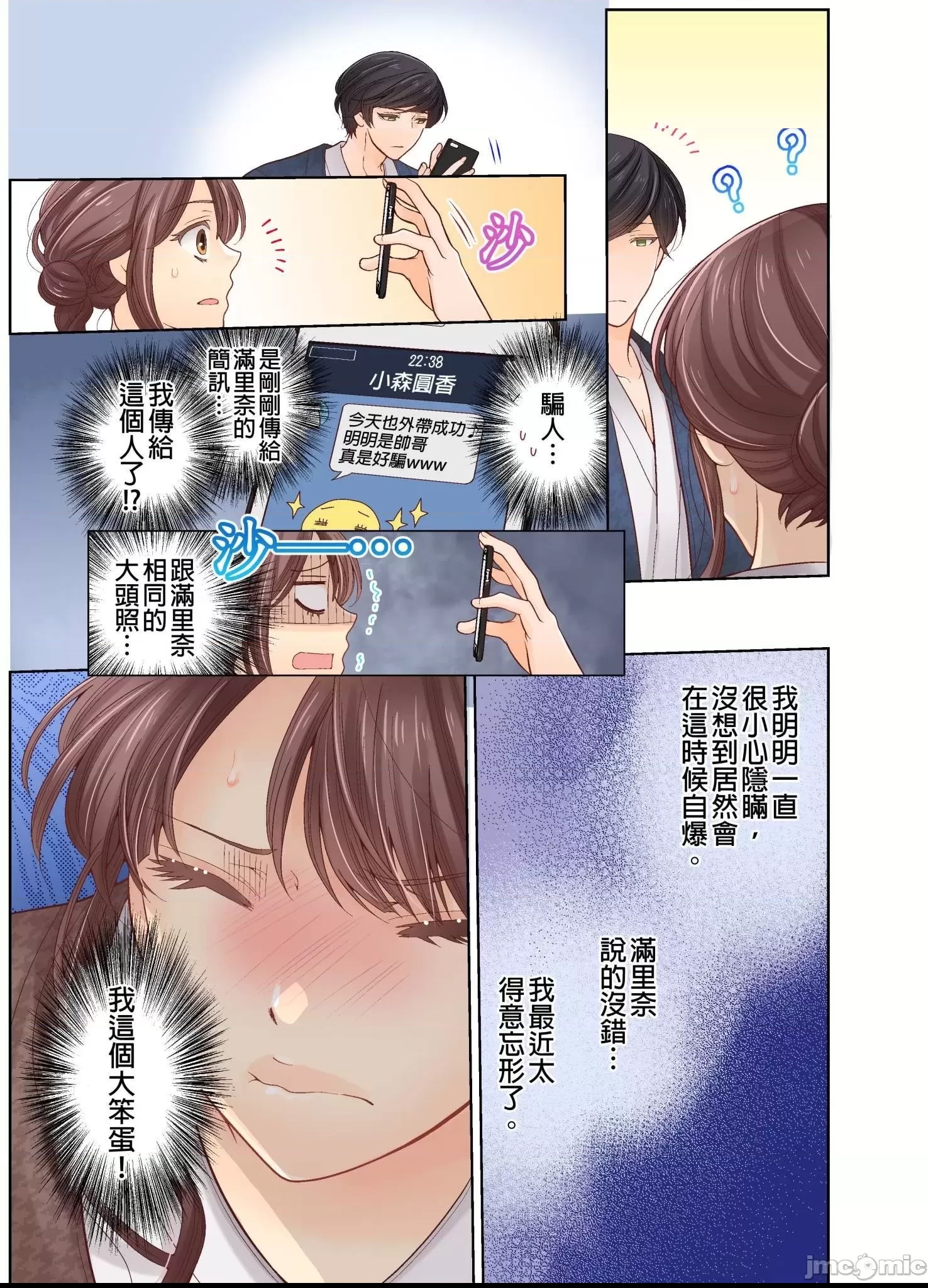 第 20 页