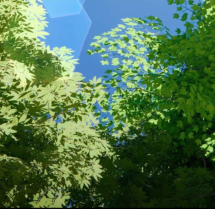 第 79 页