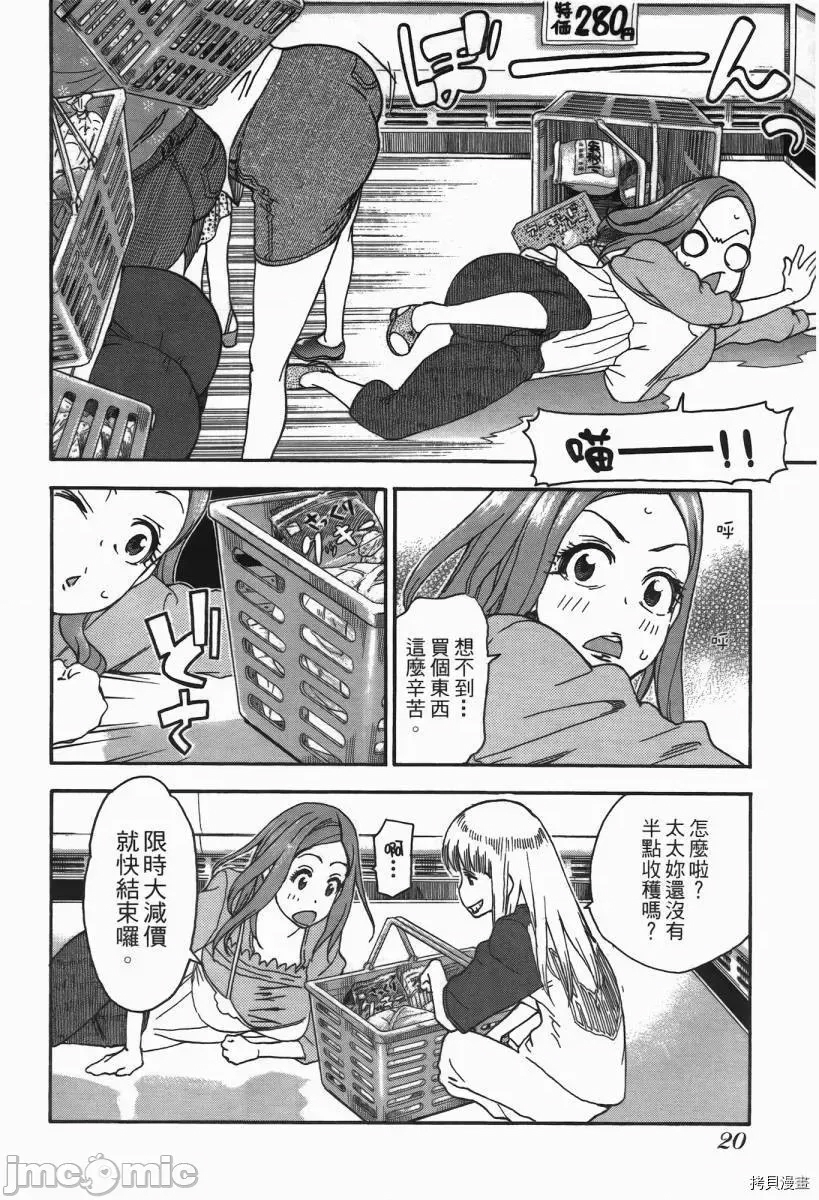第 21 页
