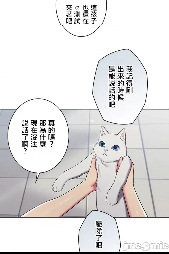 第 81 页