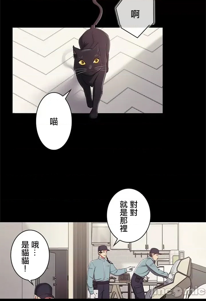 第 42 页