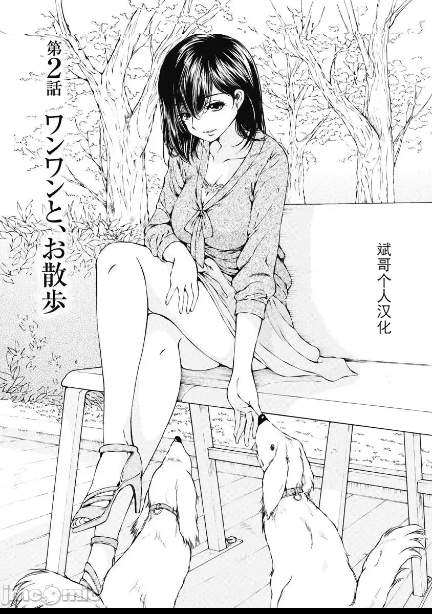 第 33 页