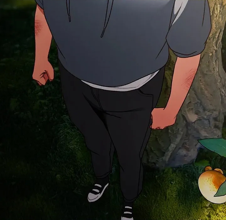 第 231 页