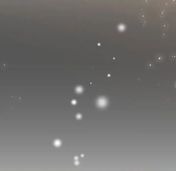 第 216 页