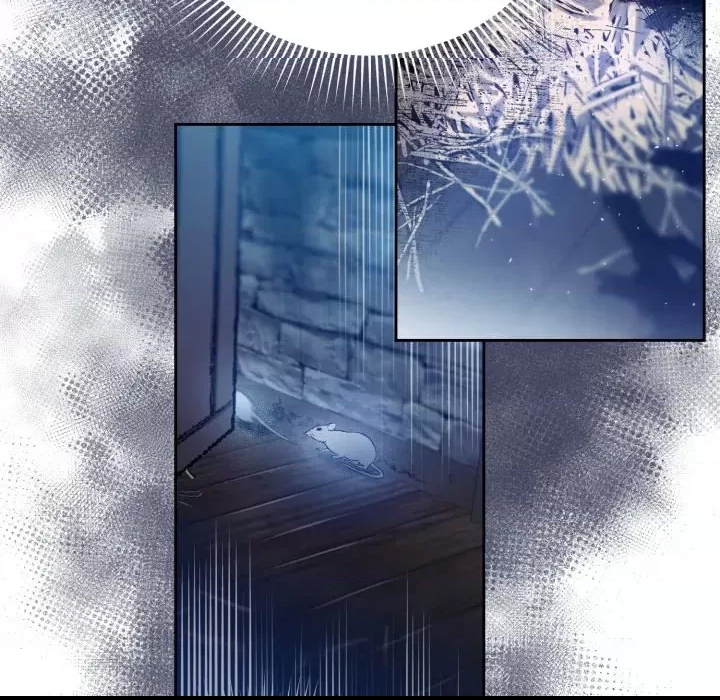 第 97 页