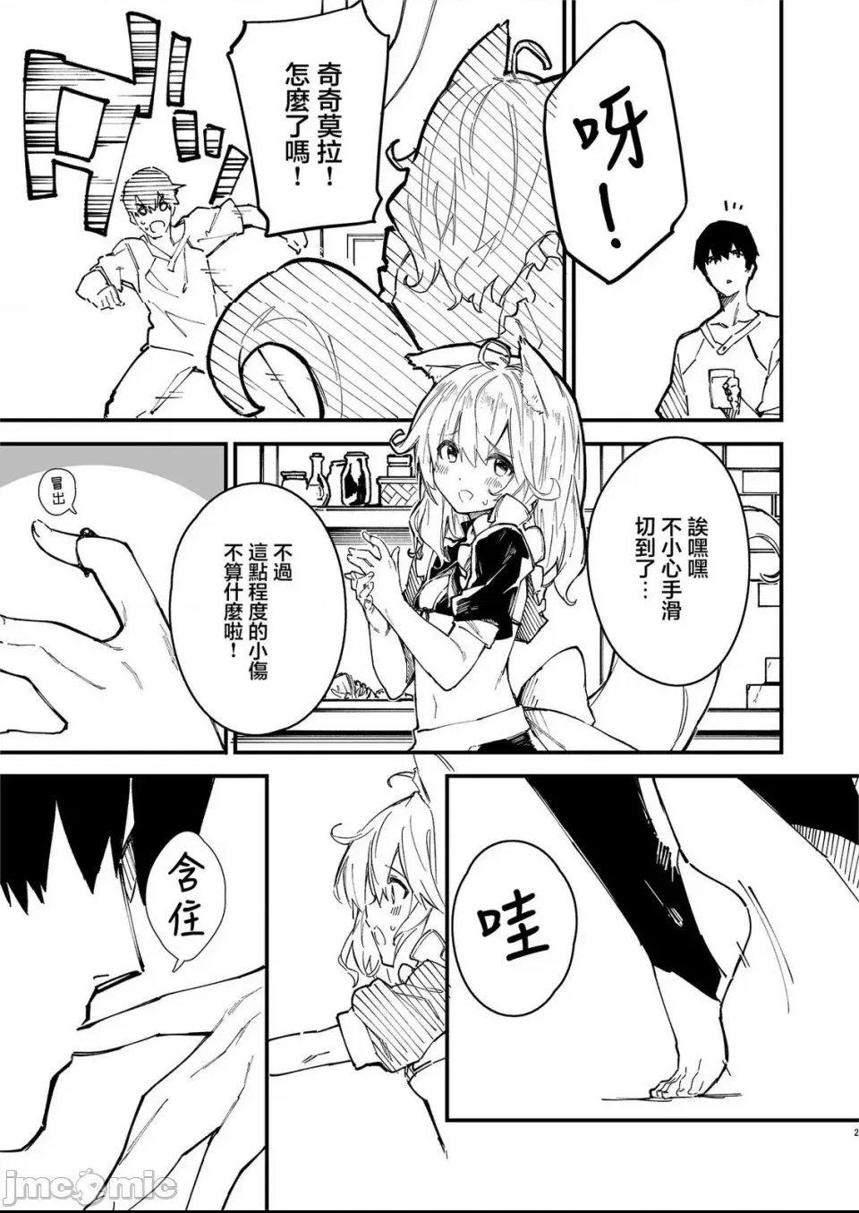 第 2 页