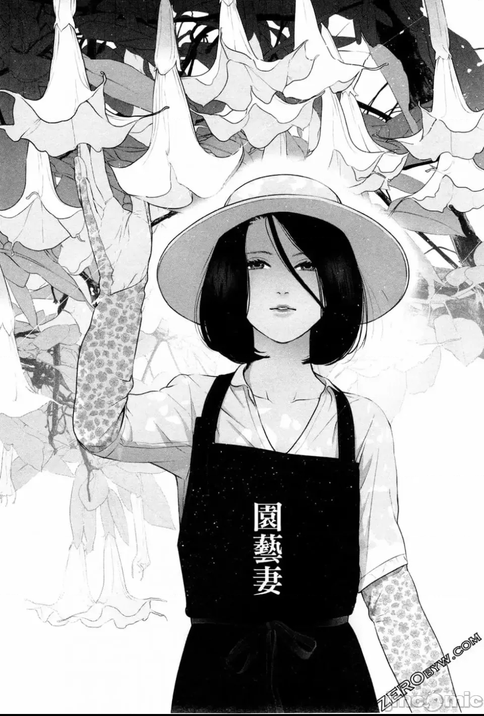 第 85 页