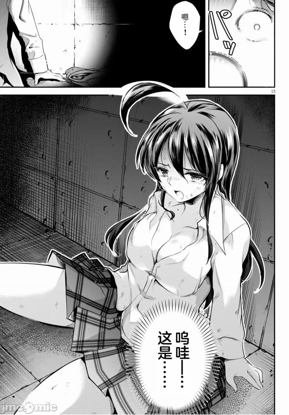 第 13 页
