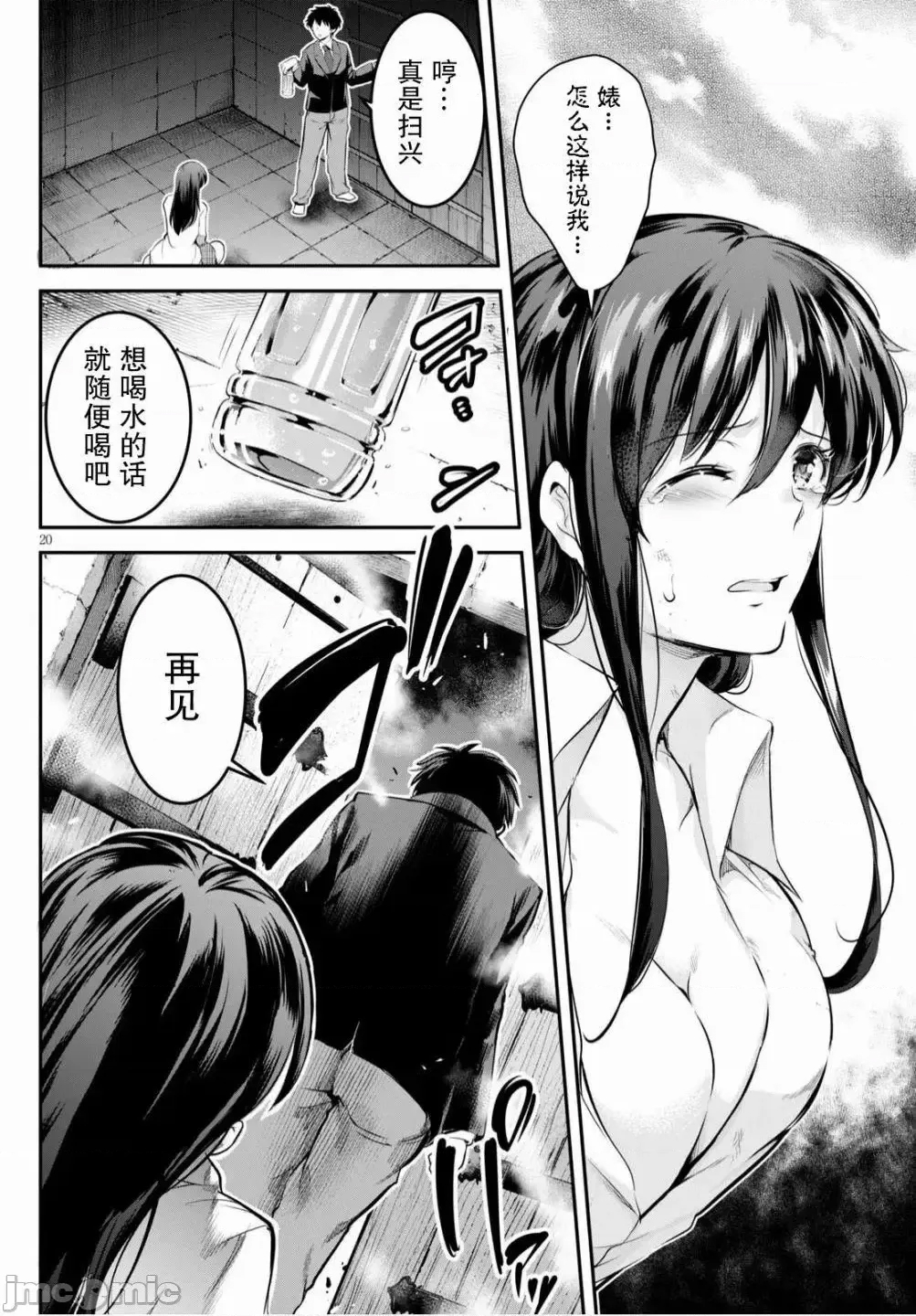 第 20 页