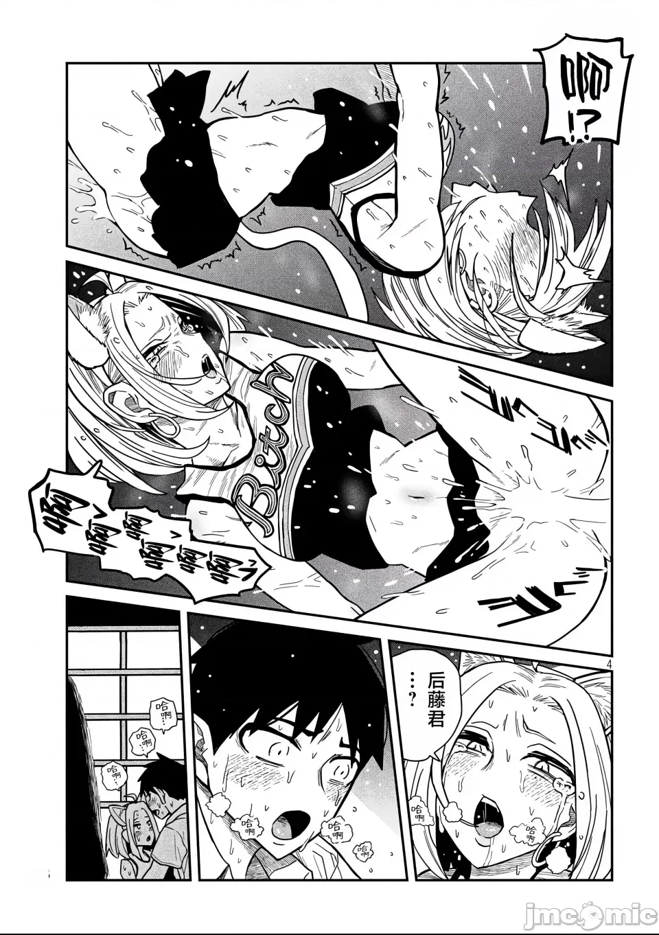 第 4 页