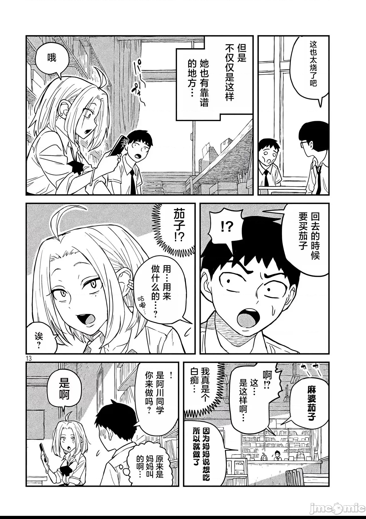 第 13 页