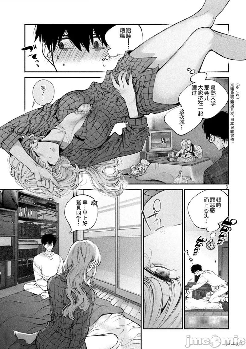 第 3 页