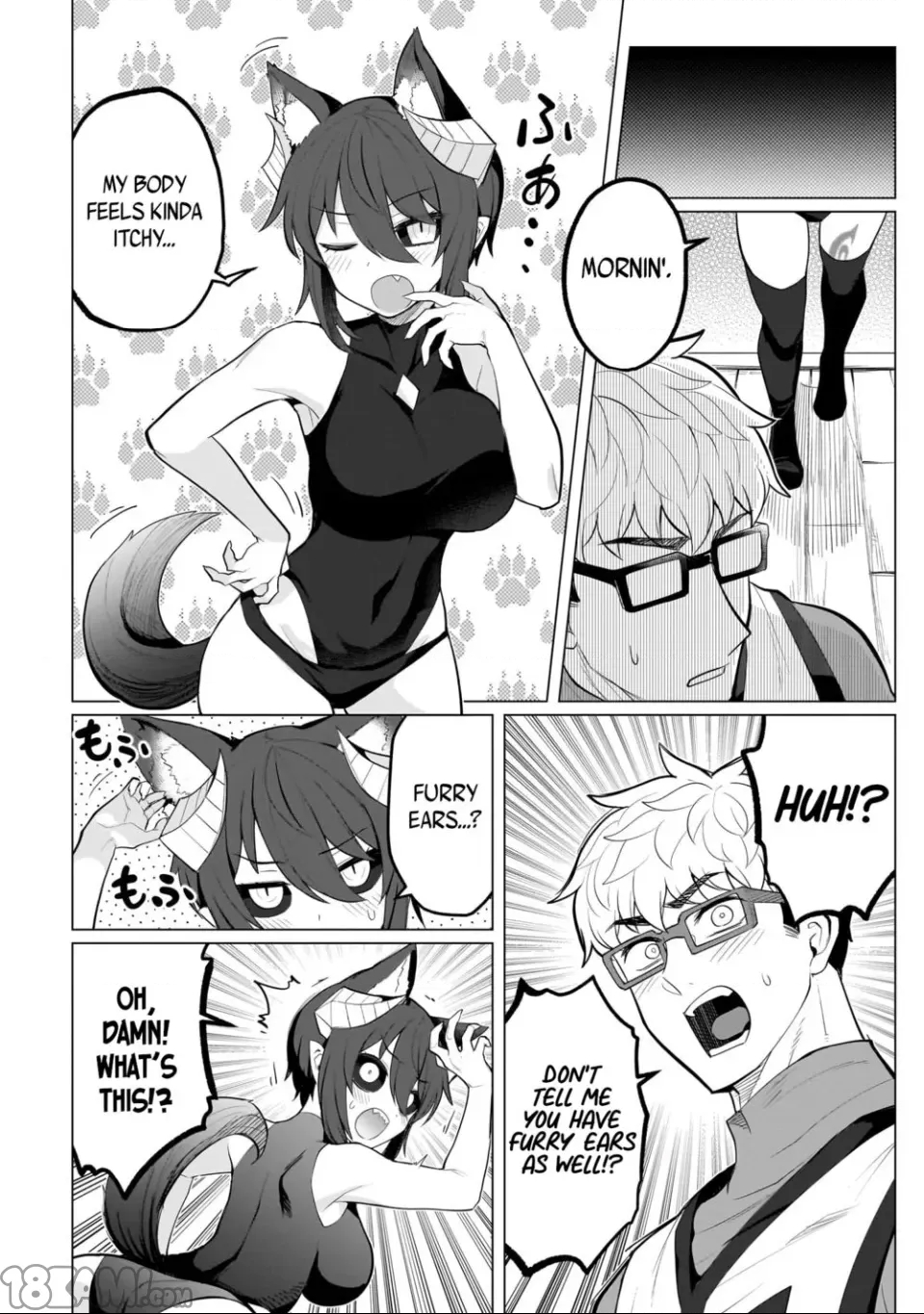 第 4 页