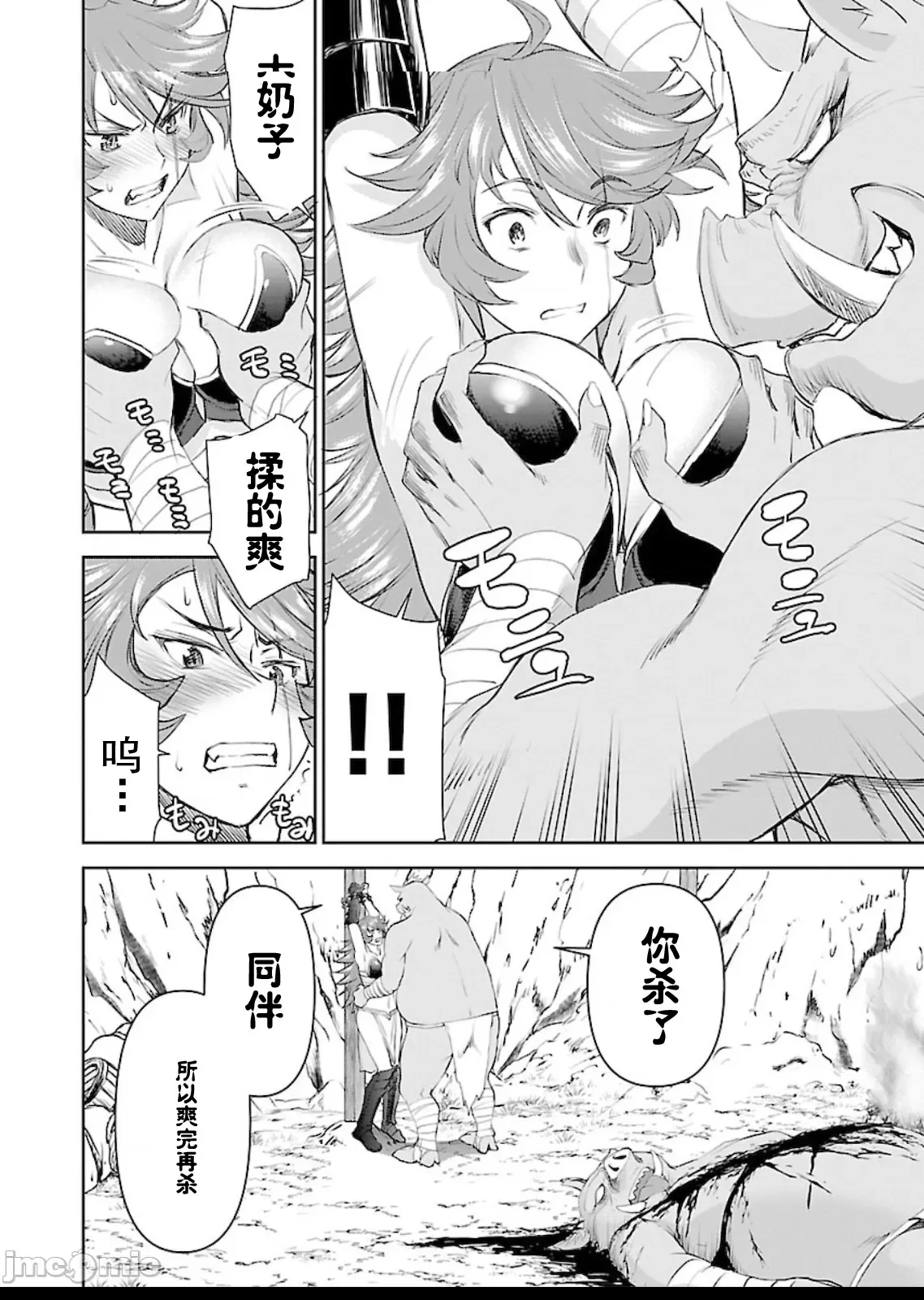 第 30 页