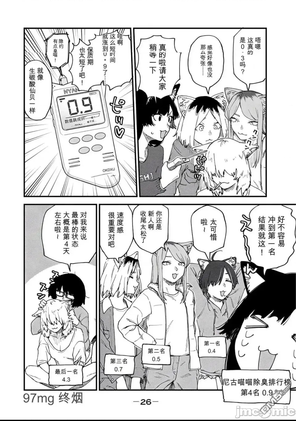 第 4 页