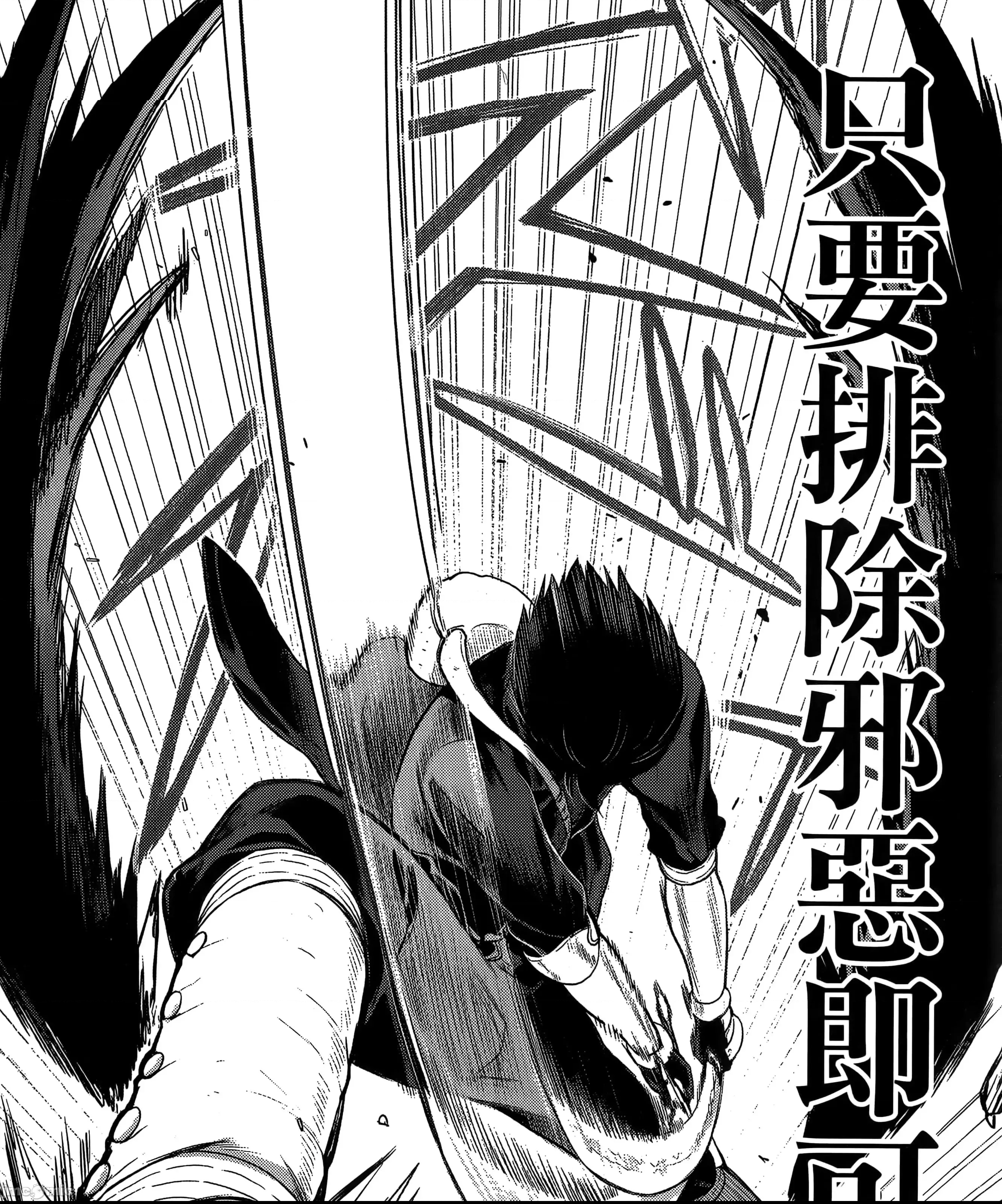 第 223 页