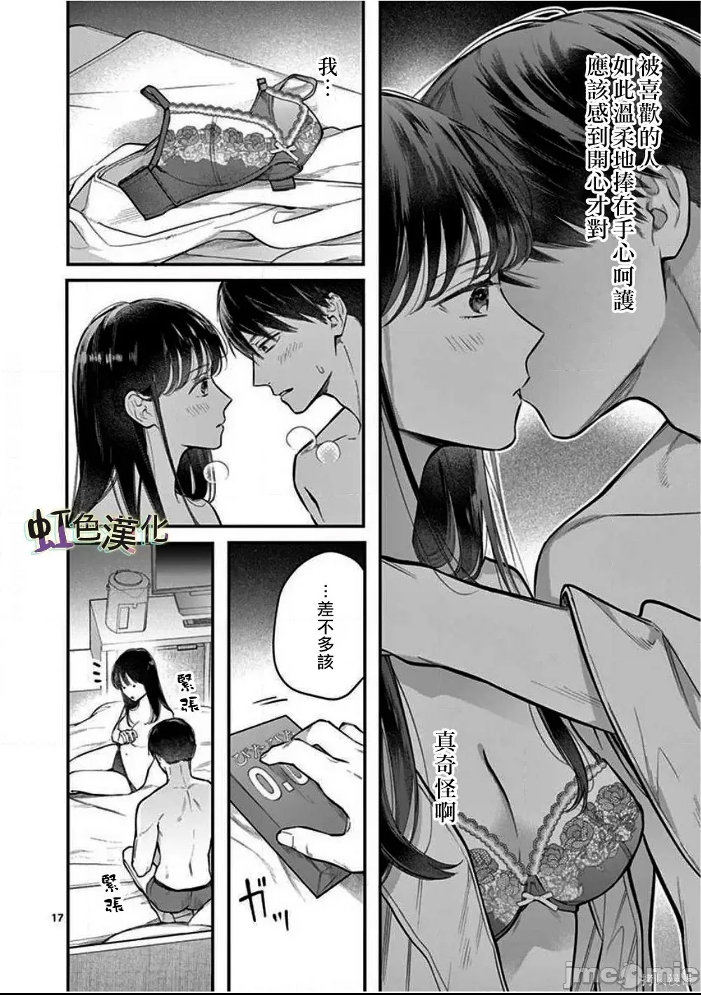 第 17 页