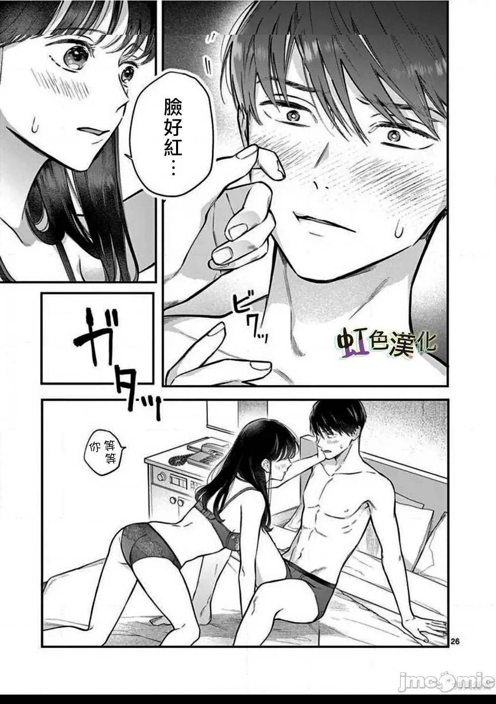 第 26 页