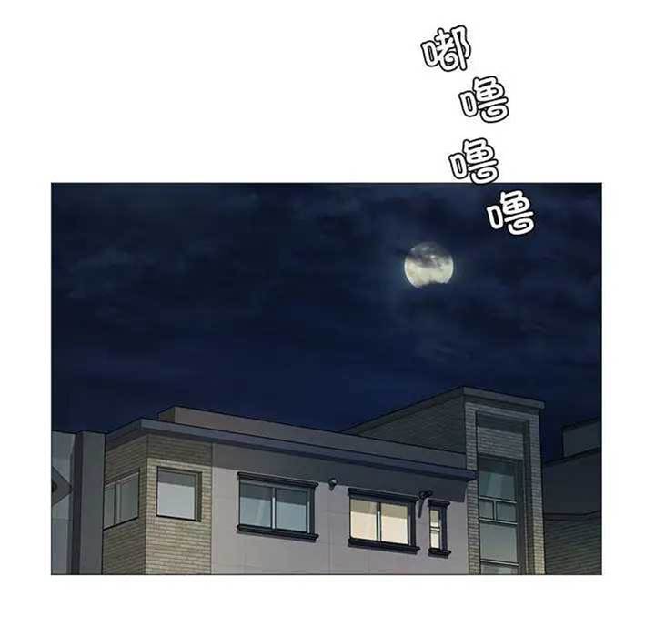 第 85 页