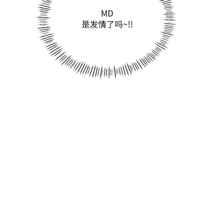 第 146 页